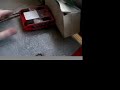 Lego \