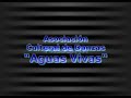 LLAMICHUS DE CHUÑUQ - AYACUCHO
