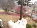 first experience of snow