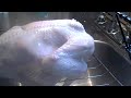 Herb Roasted Turkey Recipe: How To Oven Roast A Whole Turkey