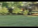 Modified HBFP backyard flying in 15-25 mph winds