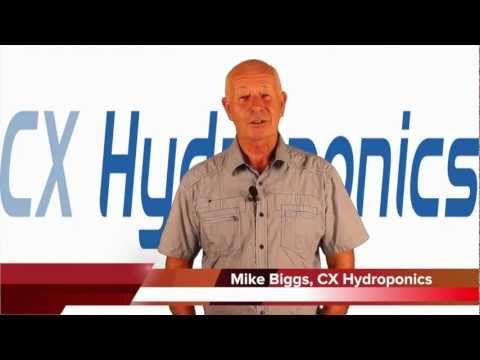 how to kill fungus gnats in hydroponics