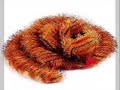 Webkinz New Releases 2008
