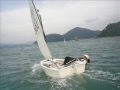optimist sailing