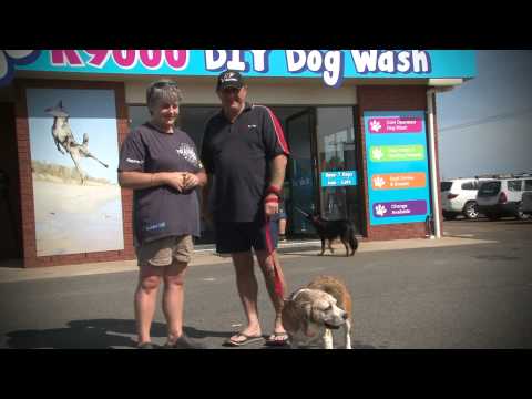 Satisfied k9000 Dog Wash customers