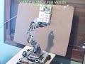 ROBOT INTERACTIVO 2-6