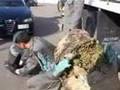 Guardia di Finanza - Marcia d'ordinanza GDF
