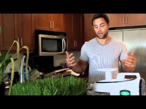 how to take wheatgrass powder