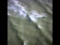 RYL kiteboarding