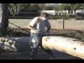 Cutting large eucalyptus trees in my yard