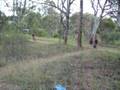 Push Bike Jumps 2