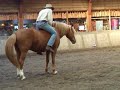 Honza Blaha, riding