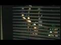 Video Clip Robbie Williams The 80`s