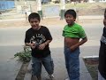 Jeropa, Oggy y el Helado