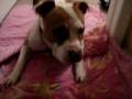 videos de 12-4-08 001.MPG