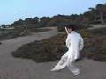 Tai Chi Taiji Yang Chen Sun Wu