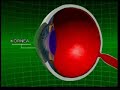 Evolution oder Sch�pfung ?  - Dokumentation