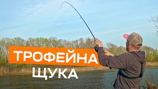 На что способен новый спиннинг Favorite Totem? Рыбалка на Днепре