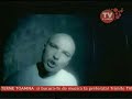 Verbal Puya Toata Noaptea Romania Bucharest