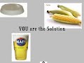 Earth Surge Compostables and Biodegradables