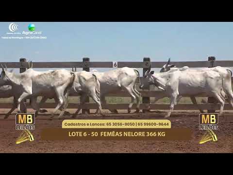 512� LEIL�O VIRTUAL MB LEIL�ES