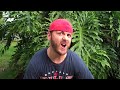 MACHO MAN