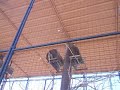 Birds at Out of Africa