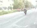 wheelie in 2nd gear wheelie single hand and stoppies