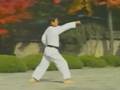 videos de poomse ponta verde atualizado.mpg