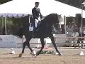 Ravel & Peters KUR 2008