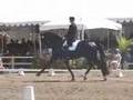 Ravel & Peters KUR 2008