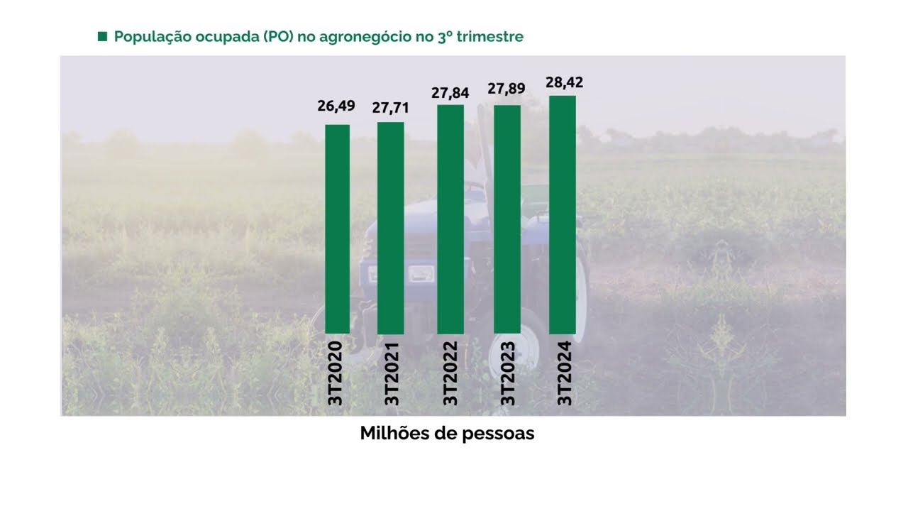 População ocupada no agronegócio soma 28,4 milhões de pessoas no terceiro trimestre de 2024