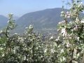 Monte S. Vigilio trail
