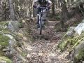 Monte S. Vigilio trail