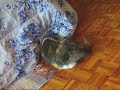 Dirty Little Ball.wmv
