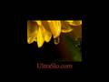 Dew Drop 3 at 7000 FPS
