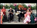 Mexico Espana Dance Academy Flamenco Performance at the Arnesen River Theater 9/12/04. (Intermediate Class)