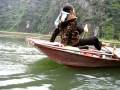 videos de Environmentally Friendly Transport