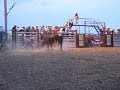 colt-deberry-carthage-nc-704.html
