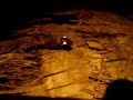 Bioluminescent glow in the dark beetle