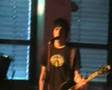 The Shibby Dudes Live