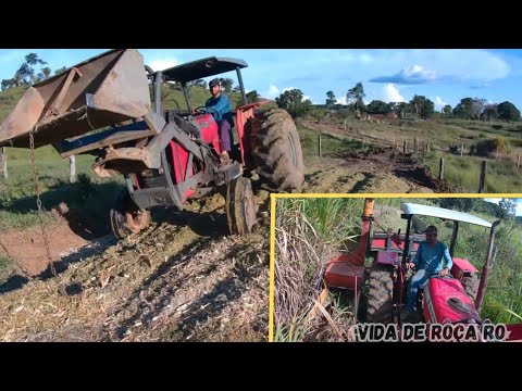 HOJE FOI DIA DE FAZER SILAGEM DE CAPIM AÇU