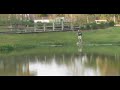 Bass in a pond