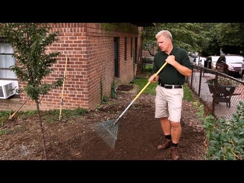 how to replant grass in your yard