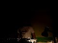 DJ TRIX LIVE @ MOAR
