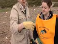 Eco BBC 2