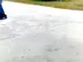 verga de tronco
