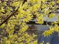 bed and breakfast -  Phildutch Houseboat - Hotel