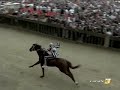 Palio di Siena 2 Luglio 2008 Istrice