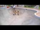 boys at skate park
